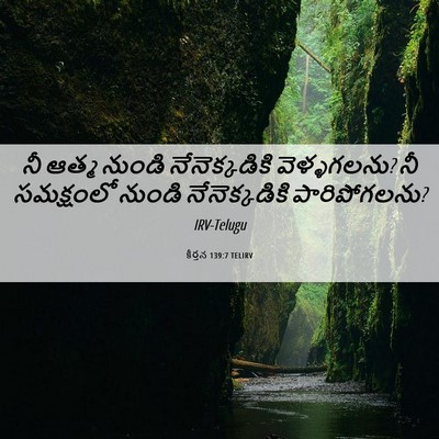 Picture 06 - కీర్తన 139:7 TELIRV - నీ ఆత్మ నుండి - Bible Verse Picture