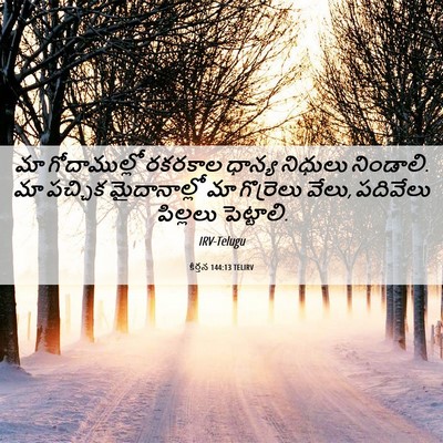 Picture 06 - కీర్తన 144:13 TELIRV - మా గోదాముల్లో - Bible Verse Picture