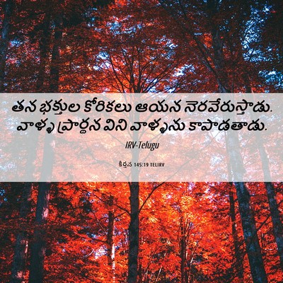 Picture 06 - కీర్తన 145:19 TELIRV - తన భక్తుల కోరికలు - Bible Verse Picture