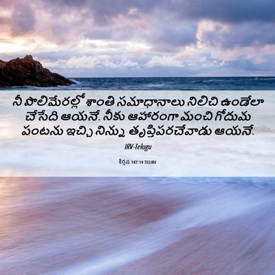 Picture 06 - కీర్తన 147:14 TELIRV - నీ పొలిమేరల్లో - Bible Verse Picture