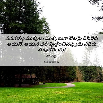 Picture 06 - కీర్తన 147:17 TELIRV - వడగళ్ళు ముక్కలు - Bible Verse Picture