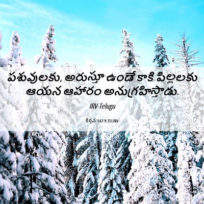 Picture 06 - కీర్తన 147:9 TELIRV - పశువులకు, అరుస్తూ - Bible Verse Picture