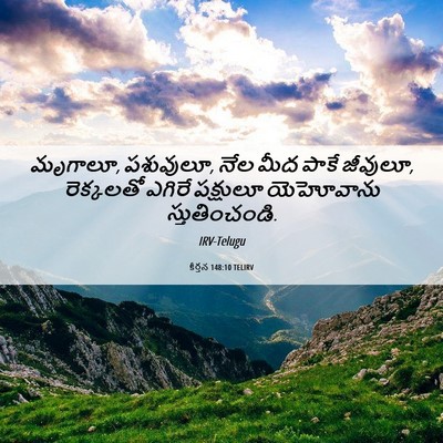 Picture 06 - కీర్తన 148:10 TELIRV - మృగాలూ, పశువులూ, - Bible Verse Picture