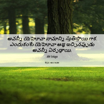 Picture 06 - కీర్తన 148:5 TELIRV - అవన్నీ యెహోవా - Bible Verse Picture