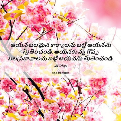 Picture 06 - కీర్తన 150:2 TELIRV - ఆయన బలమైన - Bible Verse Picture