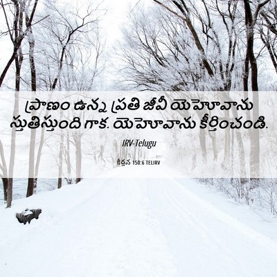 Picture 06 - కీర్తన 150:6 TELIRV - ప్రాణం ఉన్న ప్రతి - Bible Verse Picture