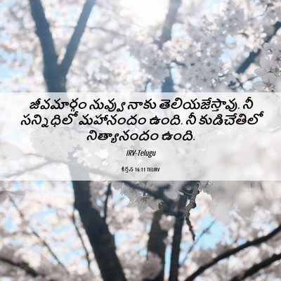 Picture 06 - కీర్తన 16:11 TELIRV - జీవమార్గం నువ్వు - Bible Verse Picture
