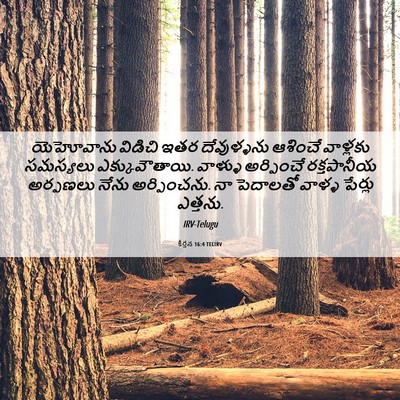 Picture 06 - కీర్తన 16:4 TELIRV - యెహోవాను విడిచి - Bible Verse Picture