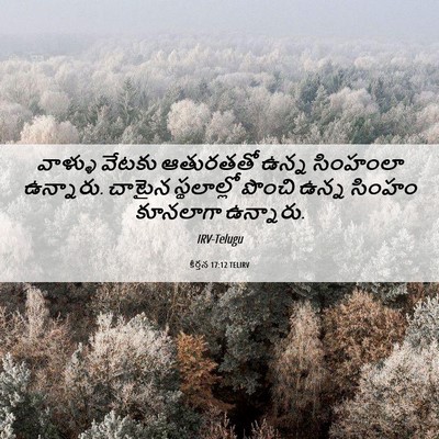Picture 06 - కీర్తన 17:12 TELIRV - వాళ్ళు వేటకు - Bible Verse Picture