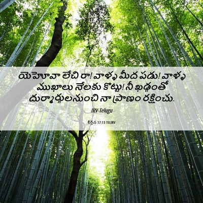Picture 06 - కీర్తన 17:13 TELIRV - యెహోవా లేచి రా! - Bible Verse Picture