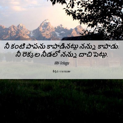 Picture 06 - కీర్తన 17:8 TELIRV - నీ కంటి పాపను - Bible Verse Picture
