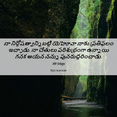Picture 06 - కీర్తన 18:20 TELIRV - నా - Bible Verse Picture