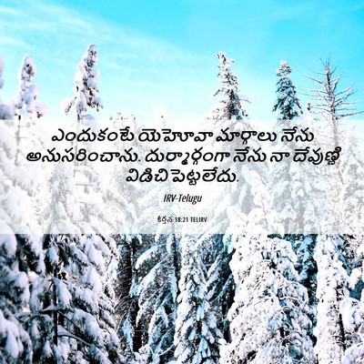 Picture 06 - కీర్తన 18:21 TELIRV - ఎందుకంటే యెహోవా - Bible Verse Picture
