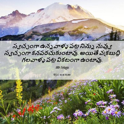 Picture 06 - కీర్తన 18:26 TELIRV - స్వచ్ఛంగా - Bible Verse Picture