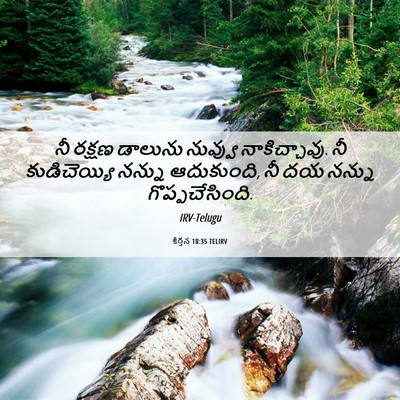 Picture 06 - కీర్తన 18:35 TELIRV - నీ రక్షణ డాలును - Bible Verse Picture