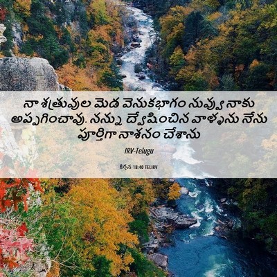 Picture 06 - కీర్తన 18:40 TELIRV - నా శత్రువుల మెడ - Bible Verse Picture