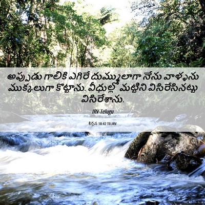 Picture 06 - కీర్తన 18:42 TELIRV - అప్పుడు గాలికి - Bible Verse Picture