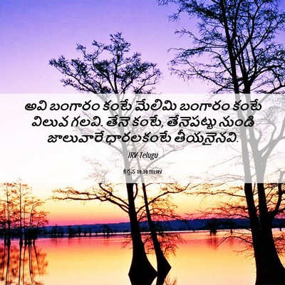 Picture 06 - కీర్తన 19:10 TELIRV - అవి బంగారం కంటే - Bible Verse Picture