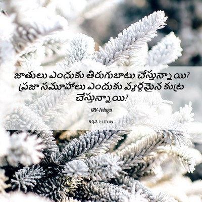 Picture 06 - కీర్తన 2:1 TELIRV - జాతులు ఎందుకు - Bible Verse Picture