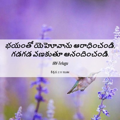 Picture 06 - కీర్తన 2:11 TELIRV - భయంతో యెహోవాను - Bible Verse Picture