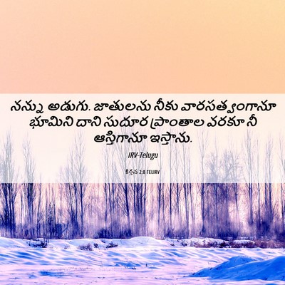Picture 06 - కీర్తన 2:8 TELIRV - నన్ను అడుగు. - Bible Verse Picture