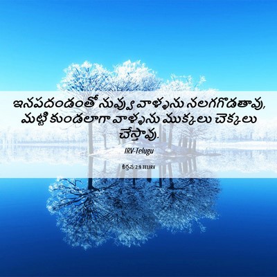 Picture 06 - కీర్తన 2:9 TELIRV - ఇనపదండంతో నువ్వు - Bible Verse Picture