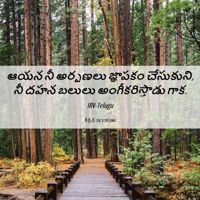 Picture 06 - కీర్తన 20:3 TELIRV - ఆయన నీ అర్పణలు - Bible Verse Picture