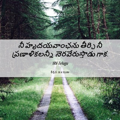 Picture 06 - కీర్తన 20:4 TELIRV - నీ హృదయవాంఛను - Bible Verse Picture