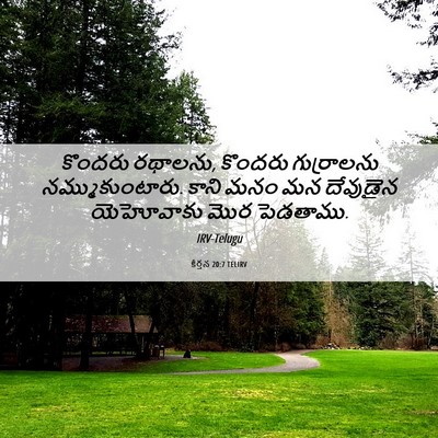 Picture 06 - కీర్తన 20:7 TELIRV - కొందరు రథాలను, - Bible Verse Picture