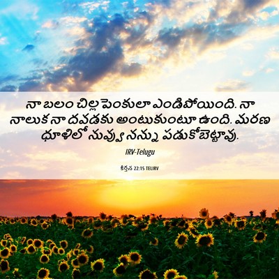 Picture 06 - కీర్తన 22:15 TELIRV - నా బలం - Bible Verse Picture