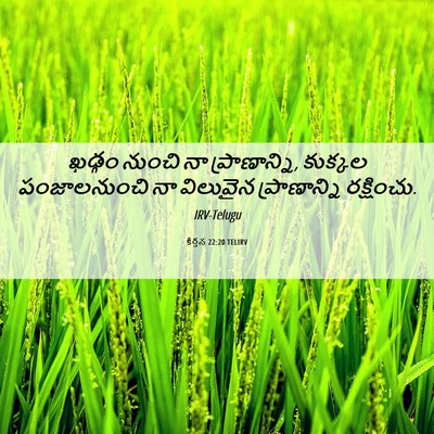 Picture 06 - కీర్తన 22:20 TELIRV - ఖడ్గం నుంచి నా - Bible Verse Picture