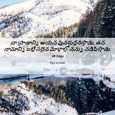 Picture 06 - కీర్తన 23:3 TELIRV - నా ప్రాణాన్ని ఆయన - Bible Verse Picture