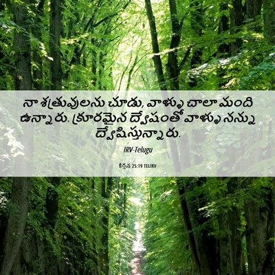 Picture 06 - కీర్తన 25:19 TELIRV - నా శత్రువులను - Bible Verse Picture