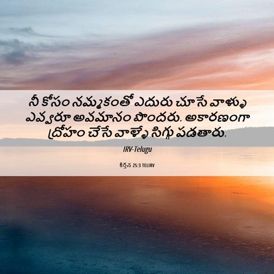 Picture 06 - కీర్తన 25:3 TELIRV - నీ కోసం నమ్మకంతో - Bible Verse Picture