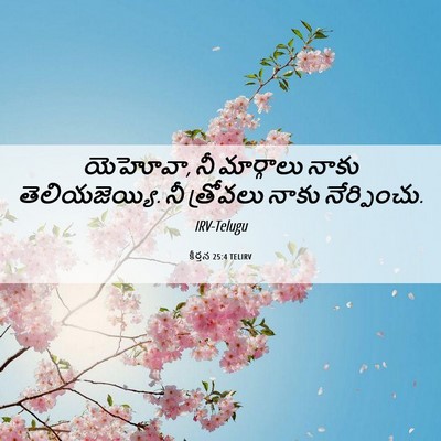 Picture 06 - కీర్తన 25:4 TELIRV - యెహోవా, నీ - Bible Verse Picture