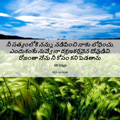 Picture 06 - కీర్తన 25:5 TELIRV - నీ సత్యంలోకి - Bible Verse Picture