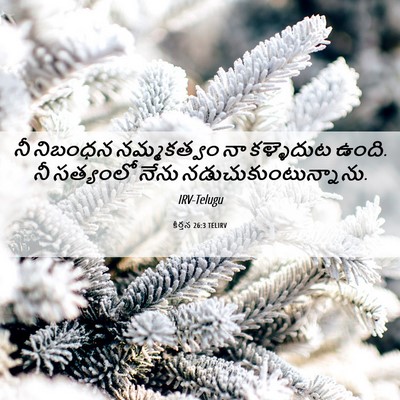 Picture 06 - కీర్తన 26:3 TELIRV - నీ నిబంధన - Bible Verse Picture