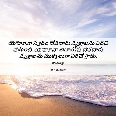 Picture 06 - కీర్తన 29:5 TELIRV - యెహోవా స్వరం - Bible Verse Picture