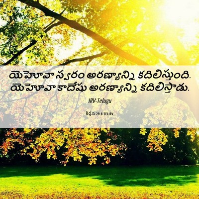 Picture 06 - కీర్తన 29:8 TELIRV - యెహోవా స్వరం - Bible Verse Picture