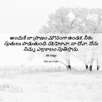 Picture 06 - కీర్తన 30:12 TELIRV - అందుకే నా ప్రాణం - Bible Verse Picture