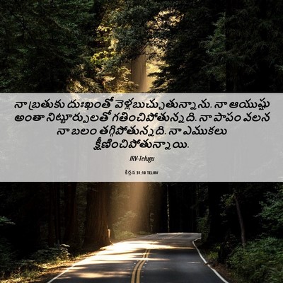 Picture 06 - కీర్తన 31:10 TELIRV - నా బ్రతుకు - Bible Verse Picture