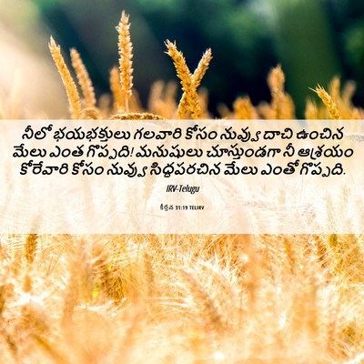 Picture 06 - కీర్తన 31:19 TELIRV - నీలో భయభక్తులు - Bible Verse Picture