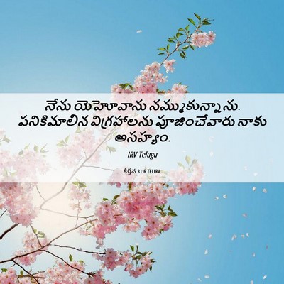 Picture 06 - కీర్తన 31:6 TELIRV - నేను యెహోవాను - Bible Verse Picture