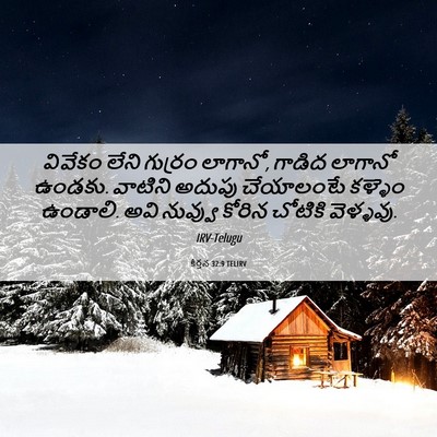 Picture 06 - కీర్తన 32:9 TELIRV - వివేకం లేని - Bible Verse Picture