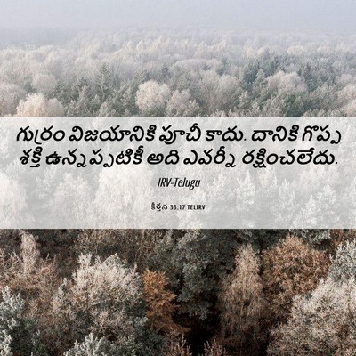 Picture 06 - కీర్తన 33:17 TELIRV - గుర్రం విజయానికి - Bible Verse Picture