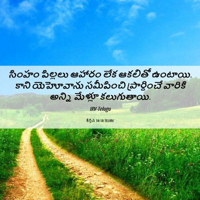 Picture 06 - కీర్తన 34:10 TELIRV - సింహం పిల్లలు - Bible Verse Picture