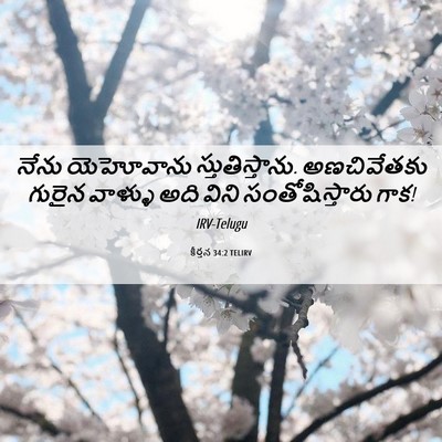 Picture 06 - కీర్తన 34:2 TELIRV - నేను యెహోవాను - Bible Verse Picture