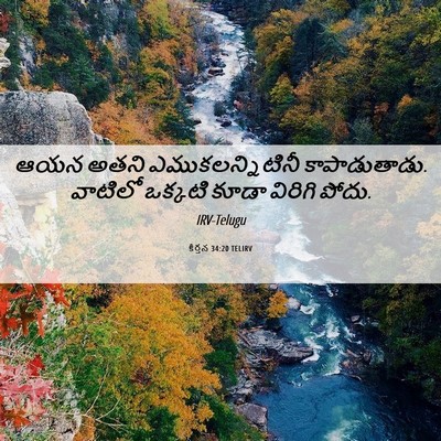 Picture 06 - కీర్తన 34:20 TELIRV - ఆయన అతని - Bible Verse Picture