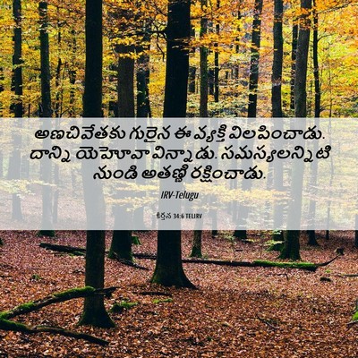 Picture 06 - కీర్తన 34:6 TELIRV - అణచివేతకు గురైన ఈ - Bible Verse Picture