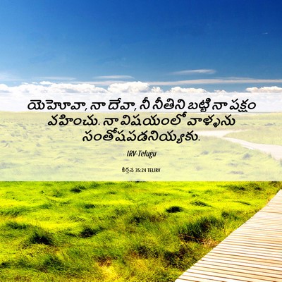 Picture 06 - కీర్తన 35:24 TELIRV - యెహోవా, నా దేవా, నీ - Bible Verse Picture